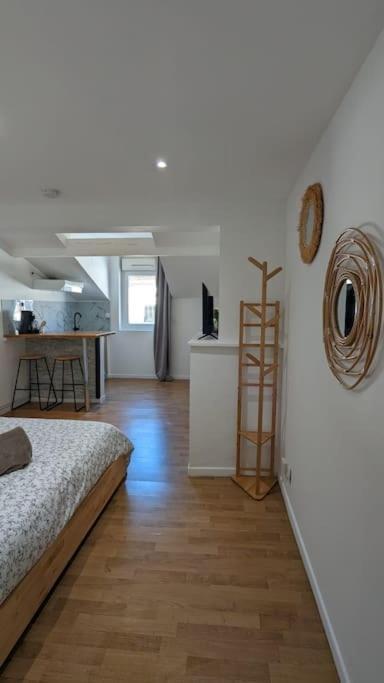 2E Grand Studio Agen Hyper Centre - Clim - Jacobins Bagian luar foto
