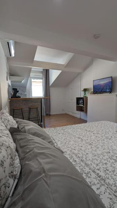 2E Grand Studio Agen Hyper Centre - Clim - Jacobins Bagian luar foto